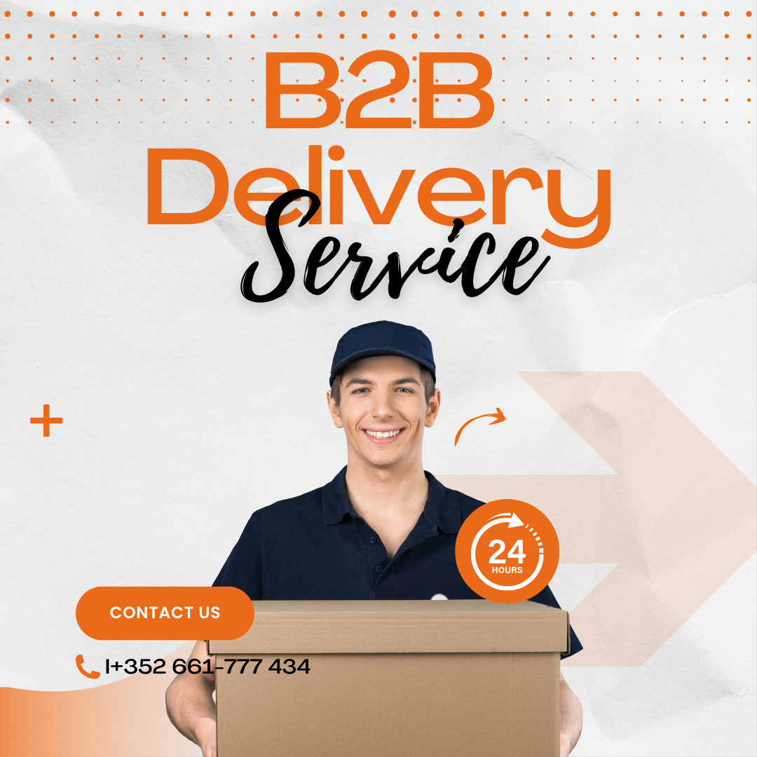 Service de livraison B2B